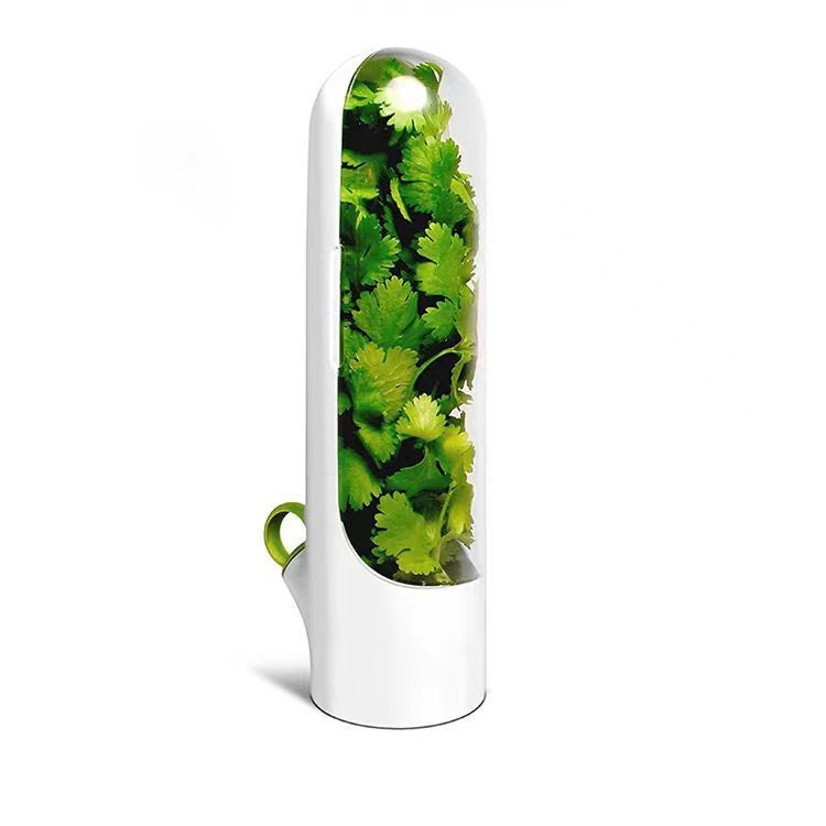 Herb Saving Pod For Refrigerator Having Coriander Leaves.