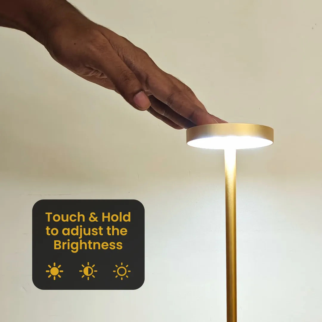 Rechargeable LED Desk Lamp, USB Touch Control Table Lamp with 3 Light Modes
