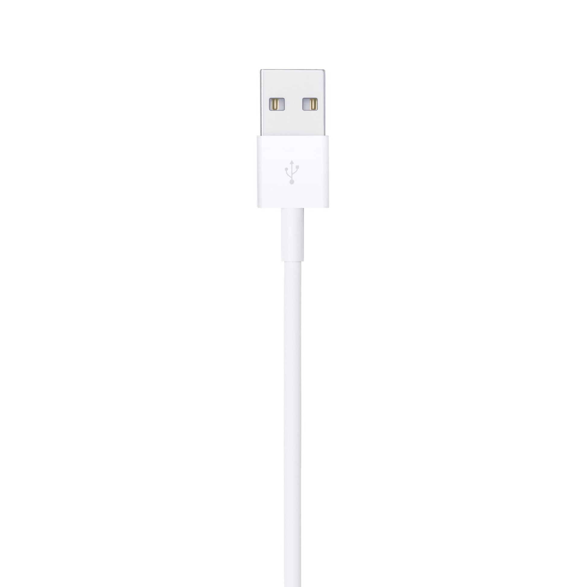 Apple Lightning to USB Cable (1m).