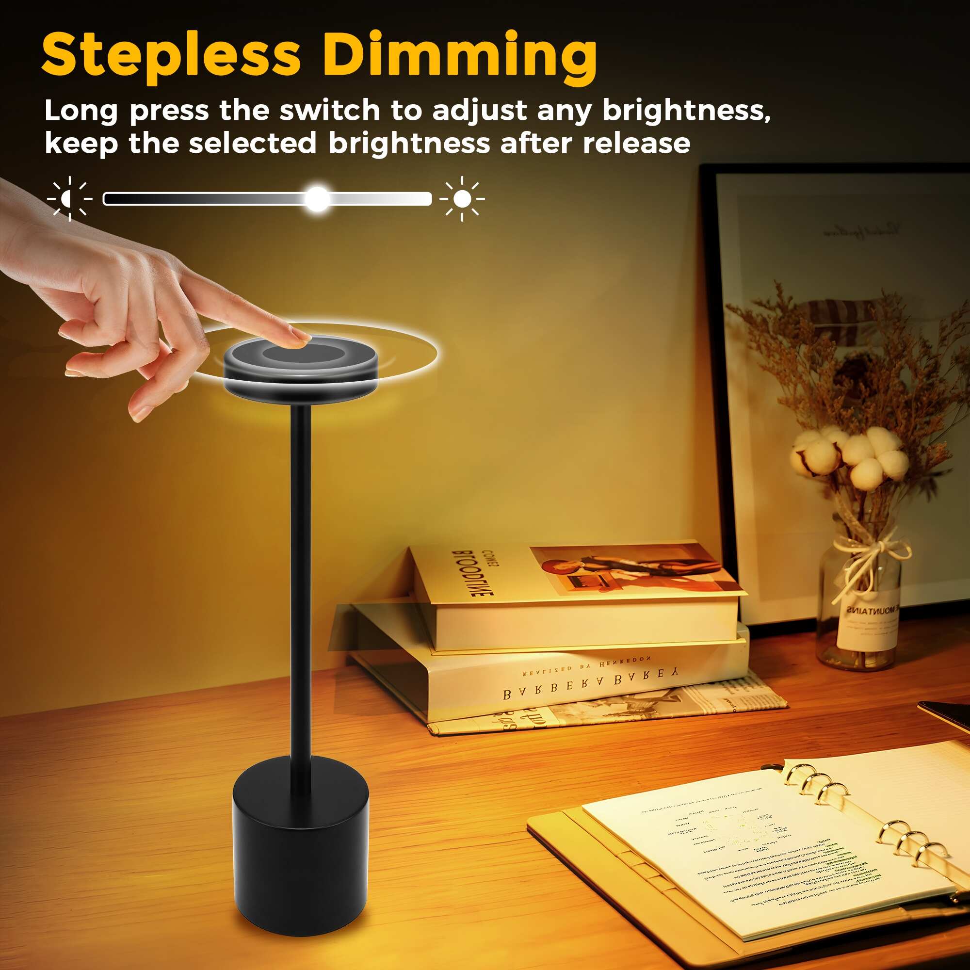 Rechargeable LED Desk Lamp, USB Touch Control Table Lamp with 3 Light Modes
