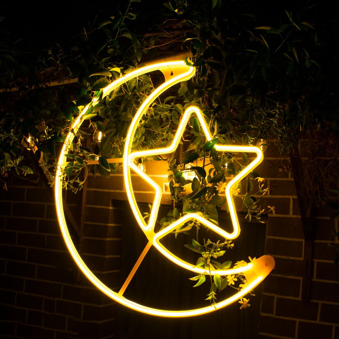 Ramadan LED Moon & Star Light is Hanged infront of a House.