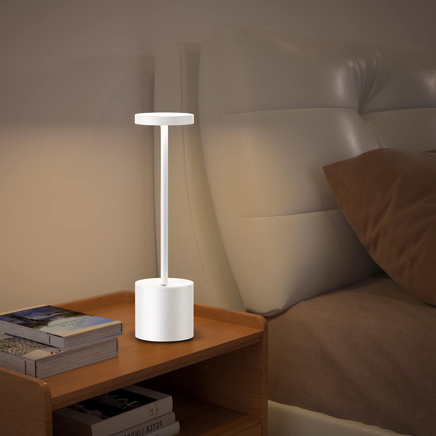 Rechargeable LED Desk Lamp, USB Touch Control Table Lamp with 3 Light Modes