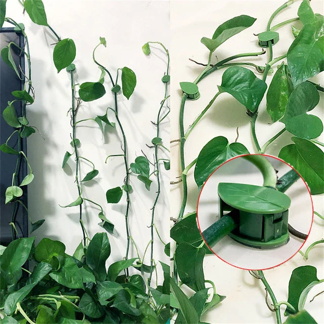 Plant Climbing Wall Fixture Clips, Self-Adhesive Invisible Support Hook for Wiring