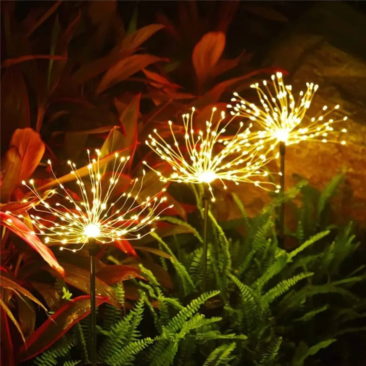 Solar Firework Garden Lights are Placed at Garden Area.