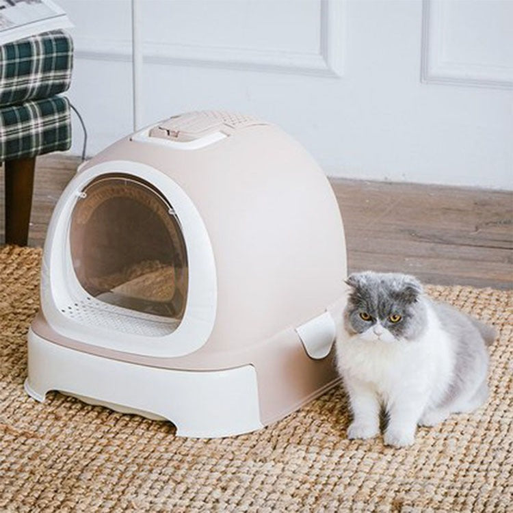 A Cat Near Cat Litter Box