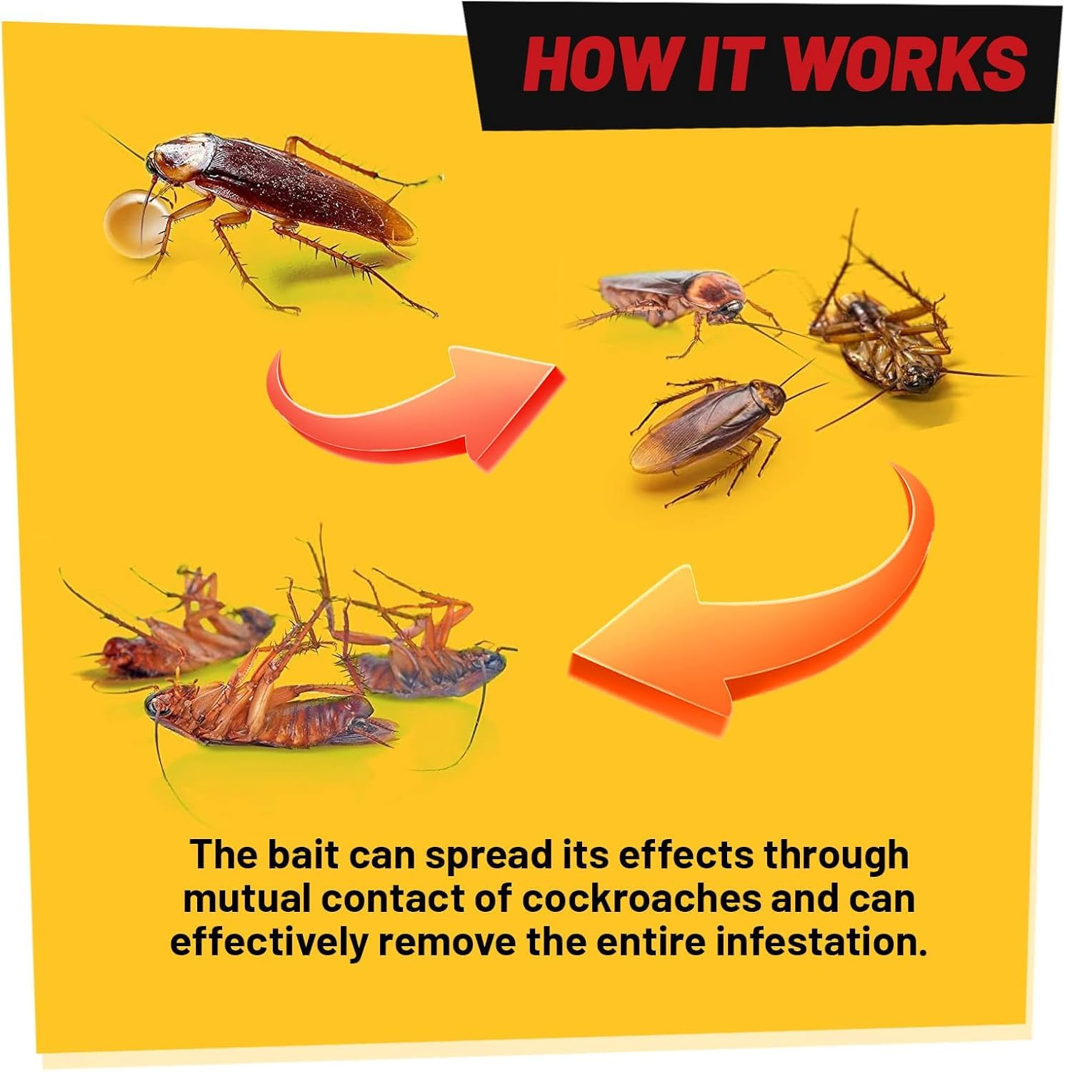 Diagram showing how a bait spreads effects through cockroaches on a yellow background.